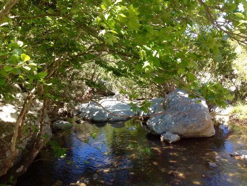 Kinidaros (riverbed) - Eggares